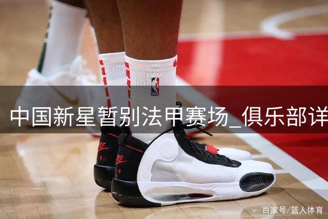 中国新星暂别法甲赛场 俱乐部详解培养计划