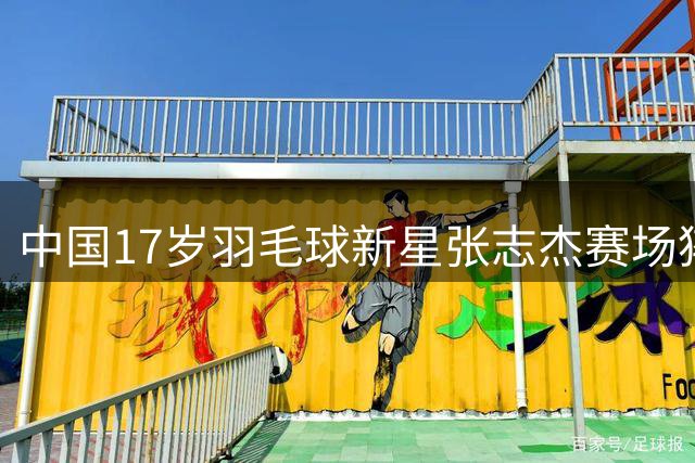 中国17岁羽毛球新星张志杰赛场猝逝 医疗救援滞后引争议